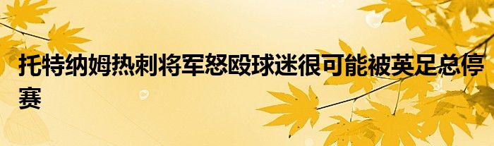 托特纳姆热刺将军怒殴球迷很可能被英足总停赛