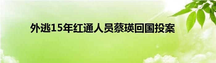 外逃15年红通人员蔡瑛回国投案