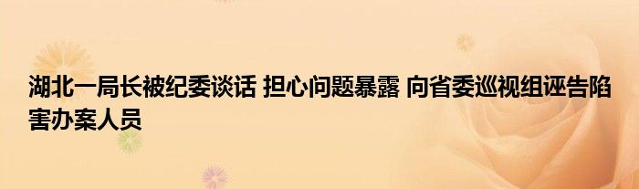 湖北一局长被纪委谈话 担心问题暴露 向省委巡视组诬告陷害办案人员