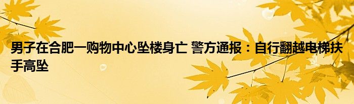 男子在合肥一购物中心坠楼身亡 警方通报：自行翻越电梯扶手高坠