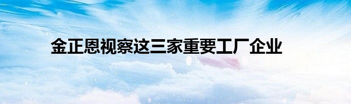 金正恩视察这三家重要工厂企业