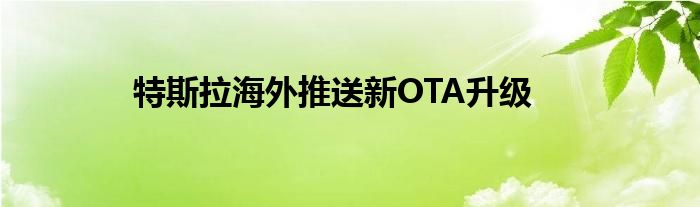 特斯拉海外推送新OTA升级