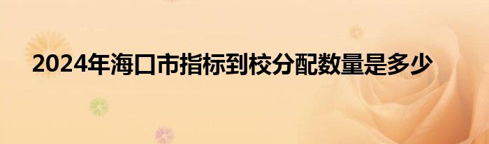 2024年海口市指标到校分配数量是多少