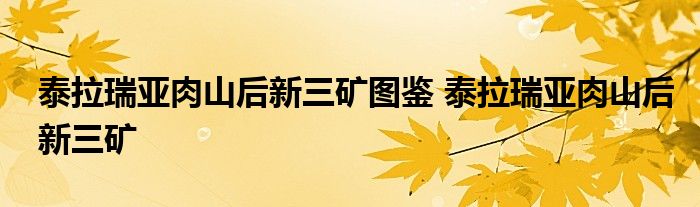 泰拉瑞亚肉山后新三矿图鉴 泰拉瑞亚肉山后新三矿