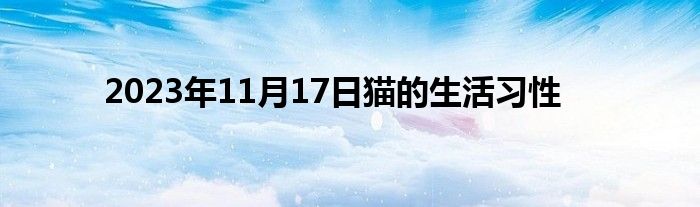 2023年11月17日猫的生活习性