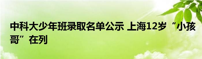 中科大少年班录取名单公示 上海12岁“小孩哥”在列