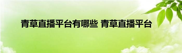 青草直播平台有哪些 青草直播平台