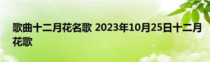 歌曲十二月花名歌 2023年10月25日十二月花歌