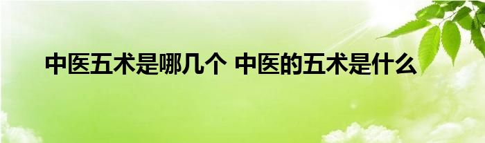 中医五术是哪几个 中医的五术是什么