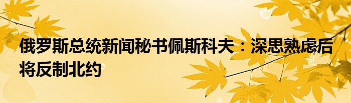 俄罗斯总统新闻秘书佩斯科夫：深思熟虑后 将反制北约