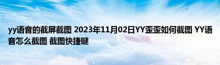 yy语音的截屏截图 2023年11月02日YY歪歪如何截图 YY语音怎么截图 截图快捷键