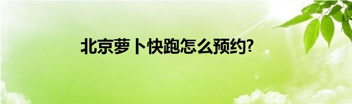 北京萝卜快跑怎么预约?