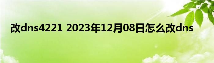 改dns4221 2023年12月08日怎么改dns