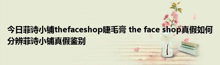 今日菲诗小铺thefaceshop睫毛膏 the face shop真假如何分辨菲诗小铺真假鉴别