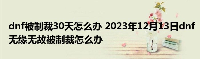 dnf被制裁30天怎么办 2023年12月13日dnf无缘无故被制裁怎么办