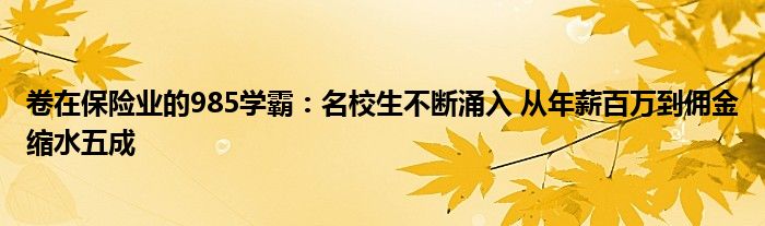 卷在保险业的985学霸：名校生不断涌入 从年薪百万到佣金缩水五成