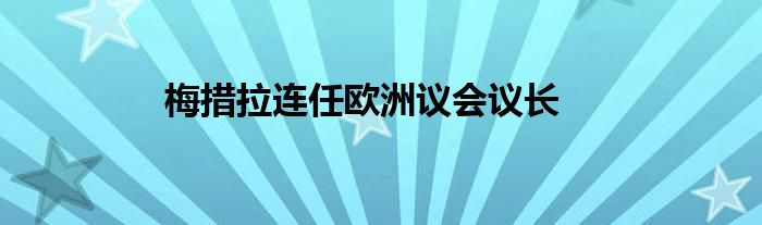 梅措拉连任欧洲议会议长