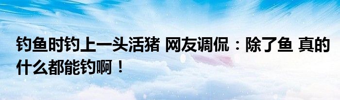 钓鱼时钓上一头活猪 网友调侃：除了鱼 真的什么都能钓啊！