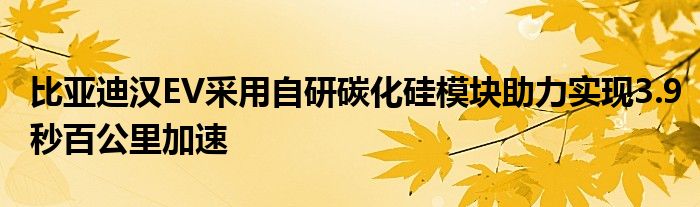 比亚迪汉EV采用自研碳化硅模块助力实现3.9秒百公里加速