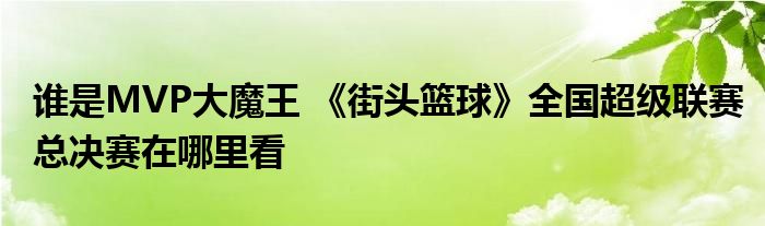 谁是MVP大魔王 《街头篮球》全国超级联赛总决赛在哪里看