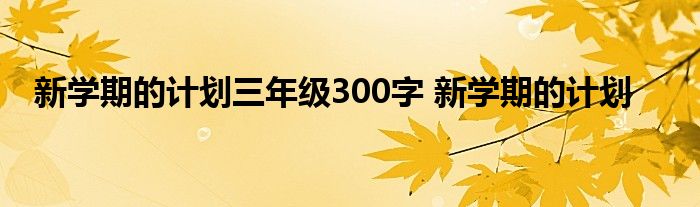 新学期的计划三年级300字 新学期的计划