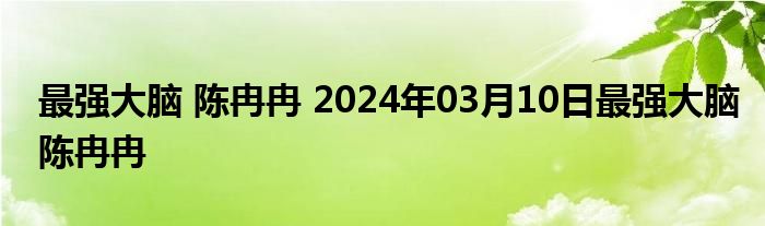 最强大脑 陈冉冉 2024年03月10日最强大脑陈冉冉