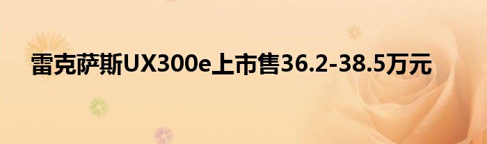 雷克萨斯UX300e上市售36.2-38.5万元