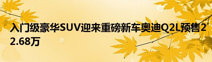 入门级豪华SUV迎来重磅新车奥迪Q2L预售22.68万