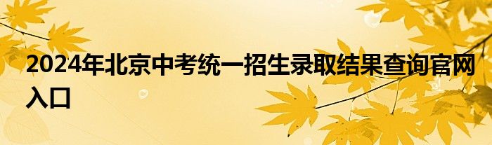 2024年北京中考统一招生录取结果查询官网入口