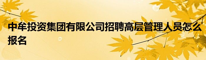 中牟投资集团有限公司招聘高层管理人员怎么报名