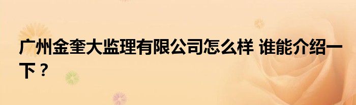 广州金奎大监理有限公司怎么样 谁能介绍一下？