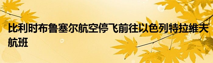 比利时布鲁塞尔航空停飞前往以色列特拉维夫航班