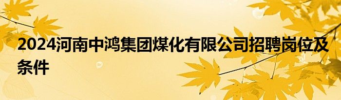 2024河南中鸿集团煤化有限公司招聘岗位及条件