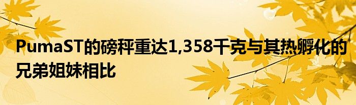 PumaST的磅秤重达1,358千克与其热孵化的兄弟姐妹相比