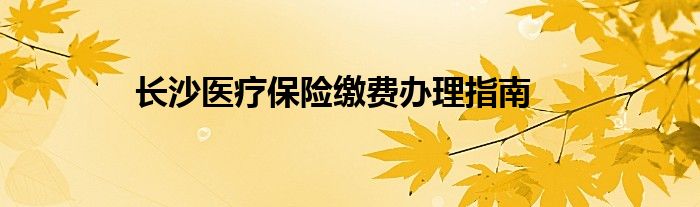 长沙医疗保险缴费办理指南