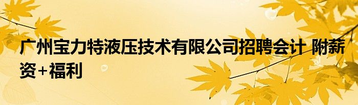 广州宝力特液压技术有限公司招聘会计 附薪资+福利