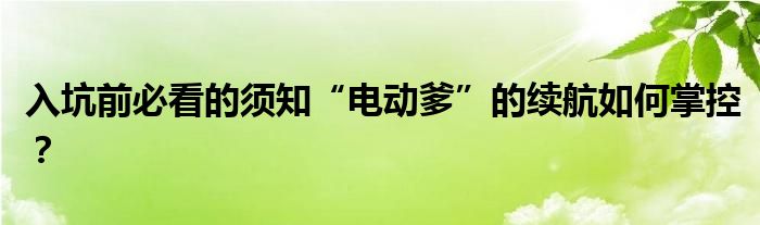 入坑前必看的须知“电动爹”的续航如何掌控？