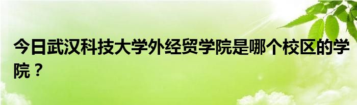 今日武汉科技大学外经贸学院是哪个校区的学院？