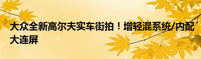 大众全新高尔夫实车街拍！增轻混系统/内配大连屏