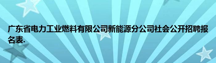 广东省电力工业燃料有限公司新能源分公司社会公开招聘报名表.