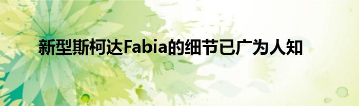 新型斯柯达Fabia的细节已广为人知