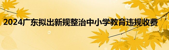 2024广东拟出新规整治中小学教育违规收费