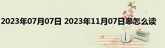 2023年07月07日 2023年11月07日皋怎么读