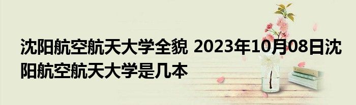 沈阳航空航天大学全貌 2023年10月08日沈阳航空航天大学是几本