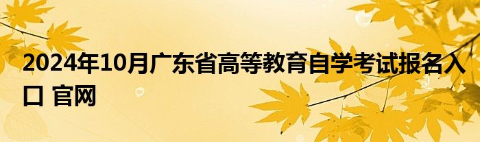 2024年10月广东省高等教育自学考试报名入口 官网