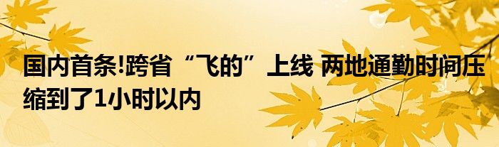 国内首条!跨省“飞的”上线 两地通勤时间压缩到了1小时以内