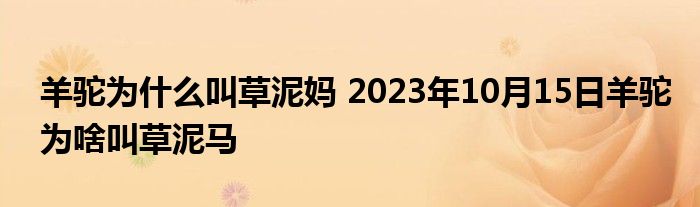 羊驼为什么叫草泥妈 2023年10月15日羊驼为啥叫草泥马