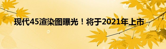 现代45渲染图曝光！将于2021年上市