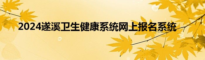 2024遂溪卫生健康系统网上报名系统