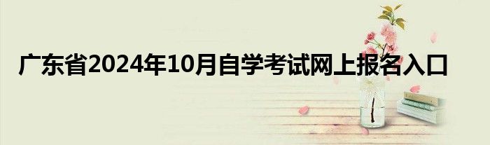 广东省2024年10月自学考试网上报名入口